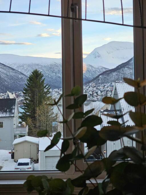 Appartement Amazing With Free Parking And Lovely Views! *